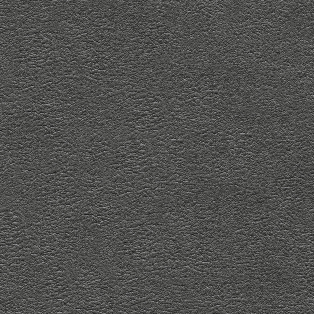 Close up of Thunder Grey