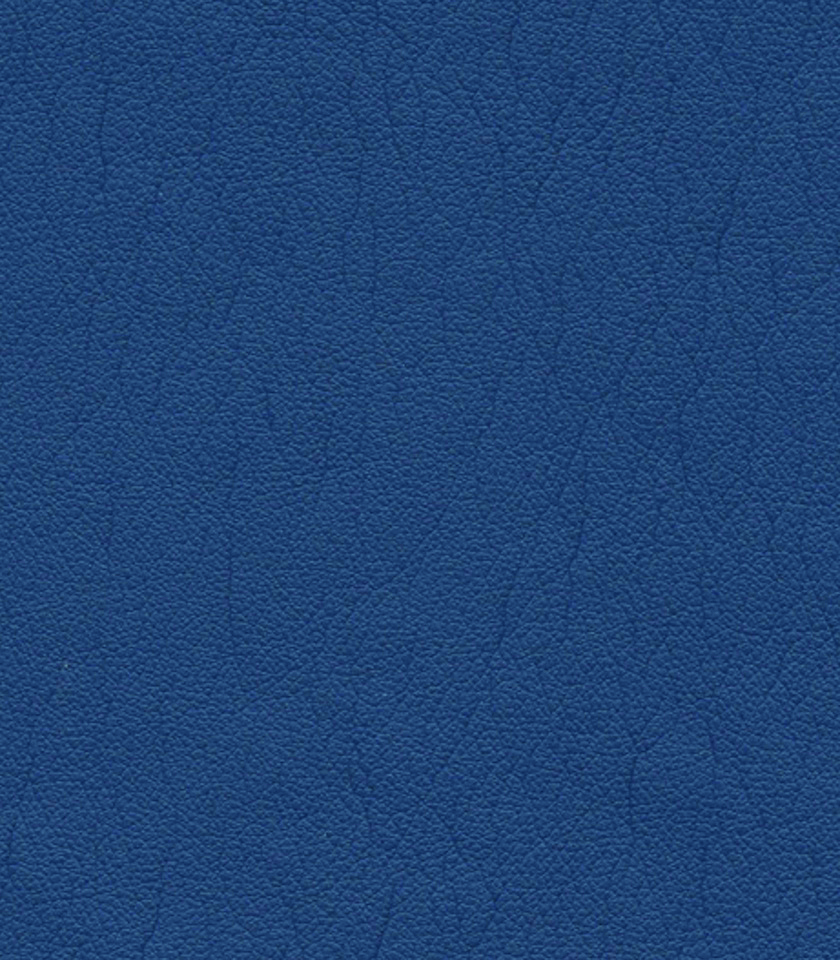 Ultraleather Pro Blueberry