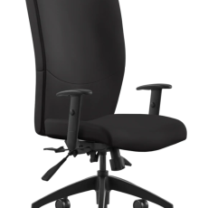 9 to 5 Chair Product Picture